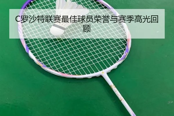 C罗沙特联赛最佳球员荣誉与赛季高光回顾